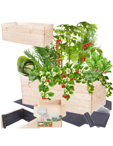 Skrzynia na warzywa skrzynie na warzywnik inspekt donica grządka 45x120x60