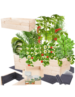 Skrzynia na warzywa skrzynie na warzywniak inspekt donica grządka 36x120x60