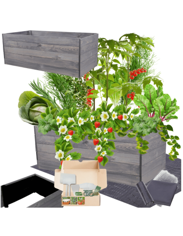 Skrzynia na warzywa skrzynie na warzywnik inspekt donica grządka 45x120x80