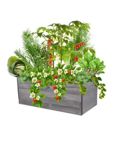 Skrzynia na warzywa skrzynie na warzywnik inspekt donica grządka 45x120x80 - product 2