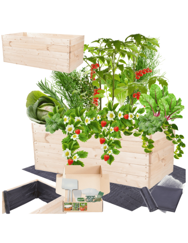 Skrzynia na warzywa skrzynie na warzywnik inspekt donica grządka 45x120x80