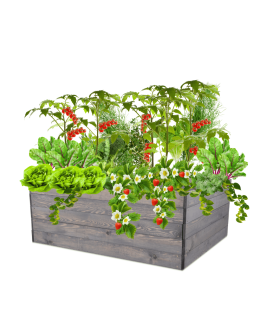 Skrzynia na warzywa skrzynie na warzywnik inspekt donica grządka 45x120x90 - product 2