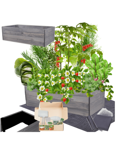 Skrzynia na warzywa skrzynie na warzywniak inspekt donica grządka 36x120x90