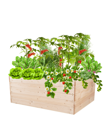 Skrzynia na warzywa skrzynie na warzywnik inspekt donica grządka 45x120x90 - product 2