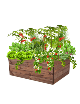 Skrzynia na warzywa skrzynie na warzywnik inspekt donica grządka 45x120x100 - product 2