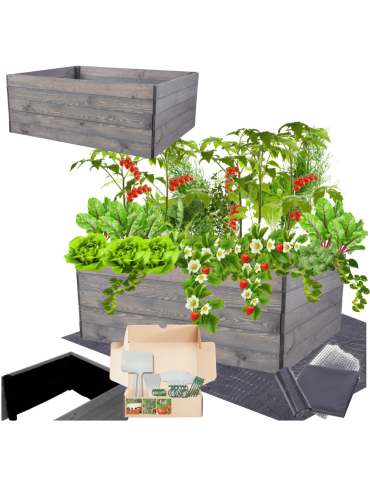 Skrzynia na warzywa skrzynie na warzywnik inspekt donica grządka 45x120x100