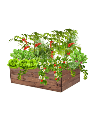 Skrzynia na warzywa skrzynie na warzywniak inspekt donica grządka 36x120x100 - product 2