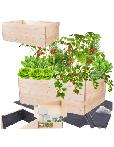 Skrzynia na warzywa skrzynie na warzywnik inspekt donica grządka 45x120x100