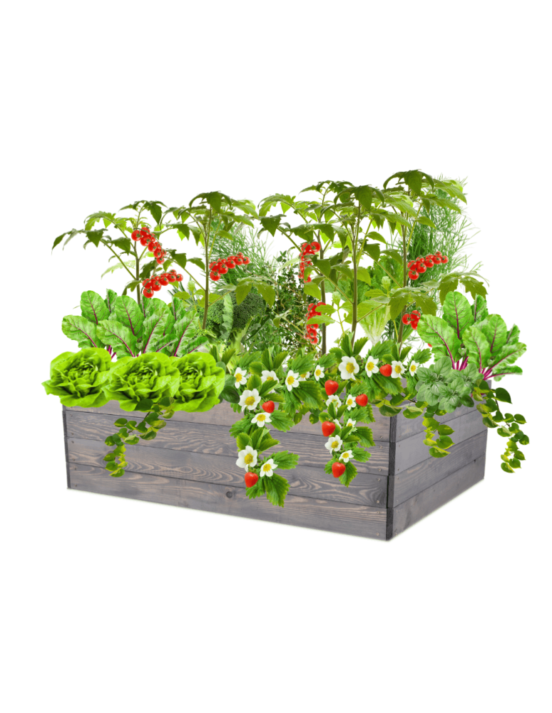 Uprawowe skrzynie ogrodowe- Warzywniaki- skrzynia do uprawy - Skrzynia na warzywa skrzynie na warzywniak inspekt donica grządka 36x120x100 - product b2b.wamar.biz 2