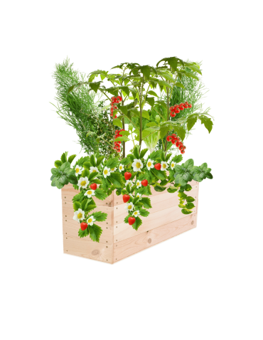 Skrzynia na warzywa skrzynie na warzywniak inspekt donica grządka 36x93x30 - product 2