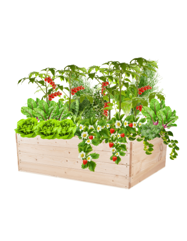 Skrzynia na warzywa skrzynie na warzywniak inspekt donica grządka 36x120x100 - produkt 2