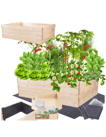 Skrzynia na warzywa skrzynie na warzywniak inspekt donica grządka 36x120x100