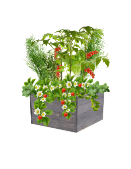 Skrzynia na warzywa skrzynie na warzywniak inspekt donica grządka 36x93x60 - product 2