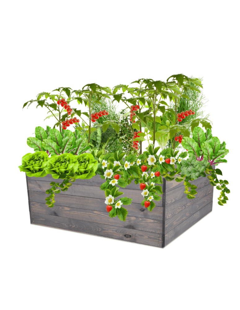 Uprawowe skrzynie ogrodowe- Warzywniaki- skrzynia do uprawy - Skrzynia na warzywa skrzynie na warzywnik inspekt donica grządka 45x120x117 - produkt b2b.wamar.biz 2