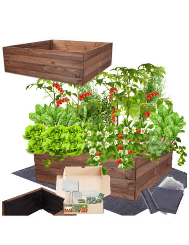 Skrzynia na warzywa skrzynie na warzywniak inspekt donica grządka 36x120x117