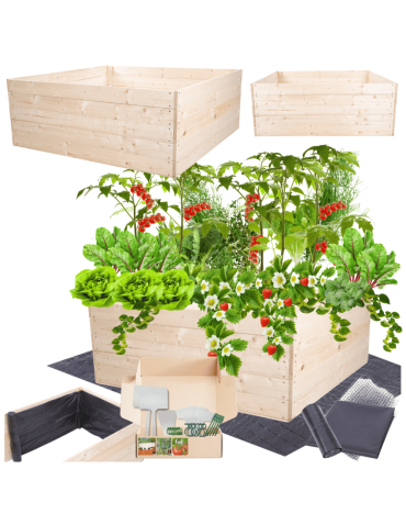 Skrzynia na warzywa skrzynie na warzywnik inspekt donica grządka 45x120x117