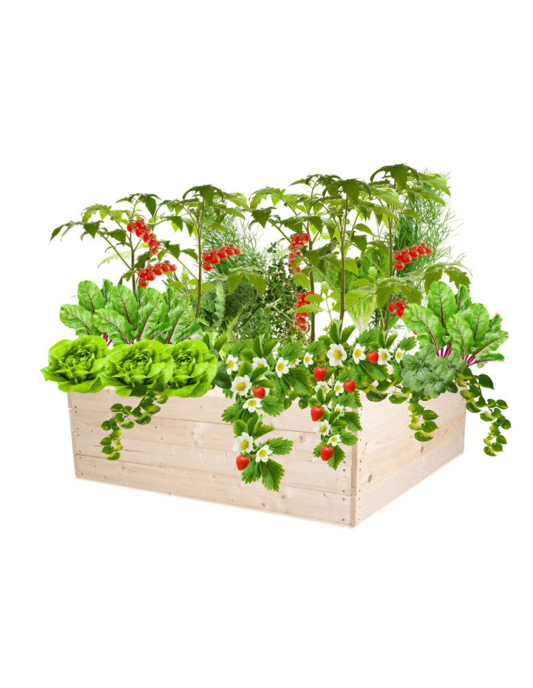 Uprawowe skrzynie ogrodowe- Warzywniaki- skrzynia do uprawy - Skrzynia na warzywa skrzynie na warzywniak inspekt donica grządka 36x120x117 - produkt b2b.wamar.biz 2