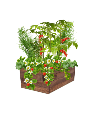 Skrzynia na warzywa skrzynie na warzywniak inspekt donica grządka 36x103x60 - product 2