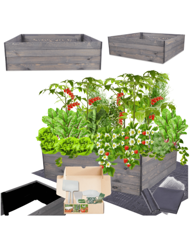 Skrzynia na warzywa skrzynie na warzywniak inspekt donica grządka 36x103x100