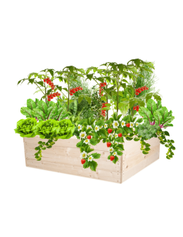 Skrzynia na warzywa skrzynie na warzywniak inspekt donica grządka 36x103x100 - product 2