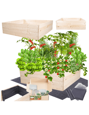 Skrzynia na warzywa skrzynie na warzywniak inspekt donica grządka 36x103x100