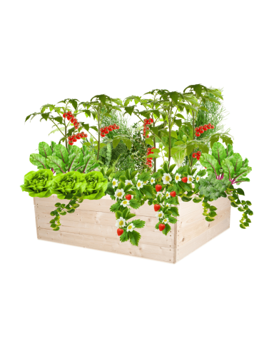 Skrzynia na warzywa skrzynie na warzywniak inspekt donica grządka 36x103x100 - product 2