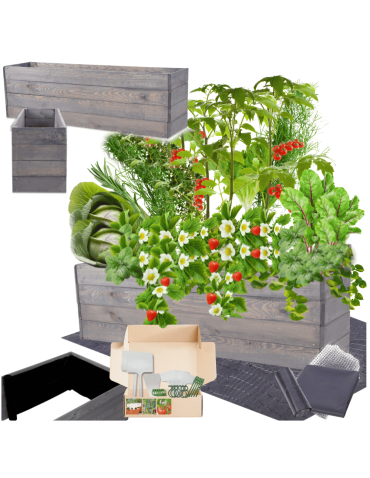 Skrzynia na warzywa skrzynie na warzywniak inspekt donica grządka 36x120x30