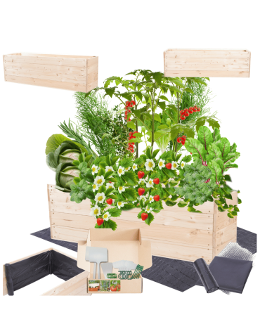 Skrzynia na warzywa skrzynie na warzywniak inspekt donica grządka 36x120x30