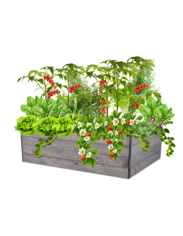 Skrzynia na warzywa skrzynie na warzywniak inspekt donica grządka 36x120x100 - product 2