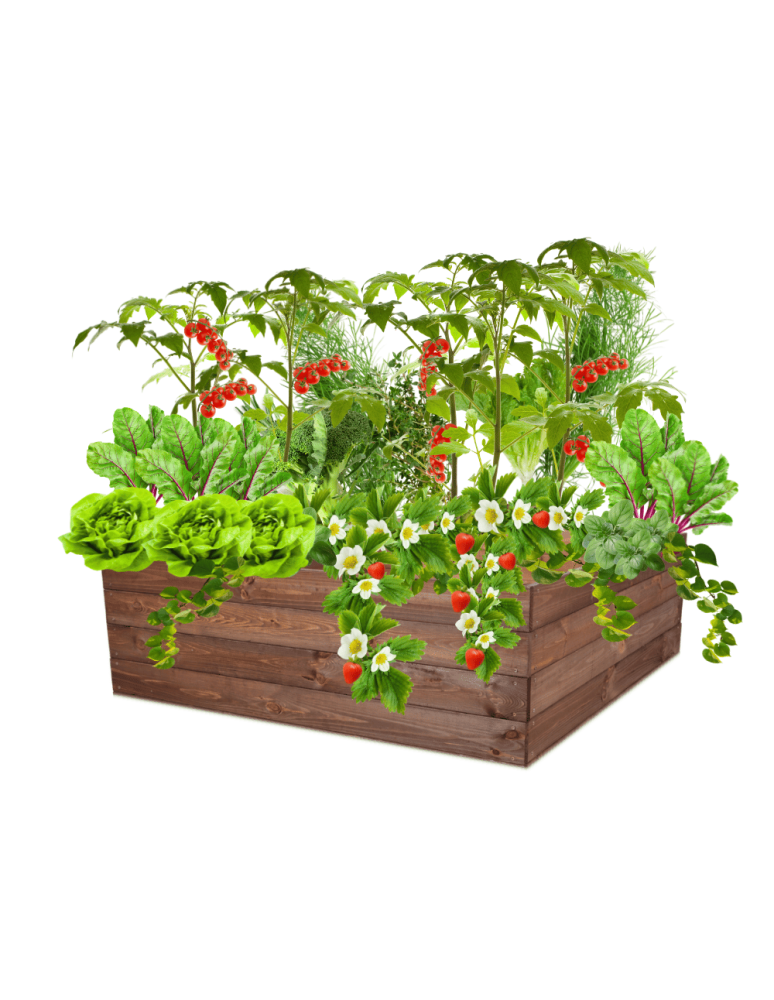 Uprawowe skrzynie ogrodowe- Warzywniaki- skrzynia do uprawy - Skrzynia na warzywa skrzynie na warzywniak inspekt donica grządka 36x120x117 - product b2b.wamar.biz 2