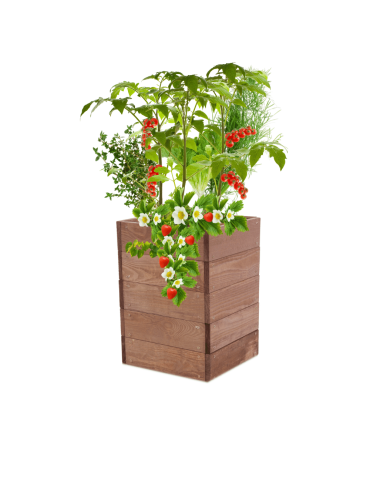 Skrzynia na warzywa skrzynie na warzywnik inspekt donica grządka 45x33x30 - product 2