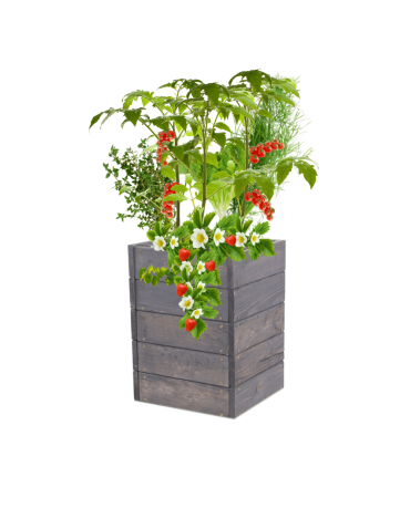 Skrzynia na warzywa skrzynie na warzywnik inspekt donica grządka 45x33x30 - product 2