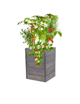 Skrzynia na warzywa skrzynie na warzywnik inspekt donica grządka 45x33x30 - product 2