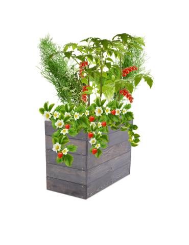 Skrzynia na warzywa skrzynie na warzywnik inspekt donica grządka 45x63x30 - product 2