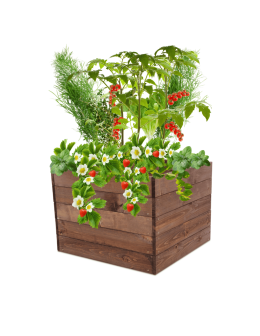 Skrzynia na warzywa skrzynie na warzywnik inspekt donica grządka 45x63x60 - product 2