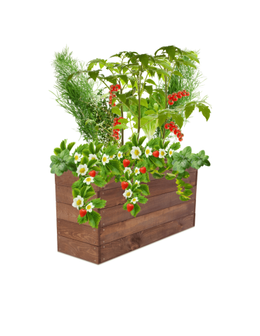 Skrzynia na warzywa skrzynie na warzywnik inspekt donica grządka 45x83x30 - product 2