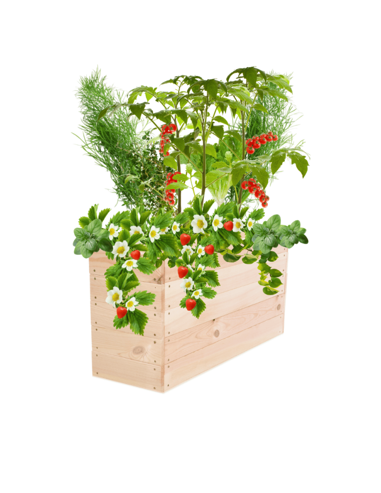 Uprawowe skrzynie ogrodowe- Warzywniaki- skrzynia do uprawy - Skrzynia na warzywa skrzynie na warzywnik inspekt donica grządka 45x83x30 - produkt b2b.wamar.biz 2