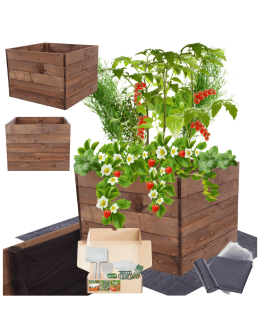 Skrzynia na warzywa skrzynie na warzywnik inspekt donica grządka 45x83x80