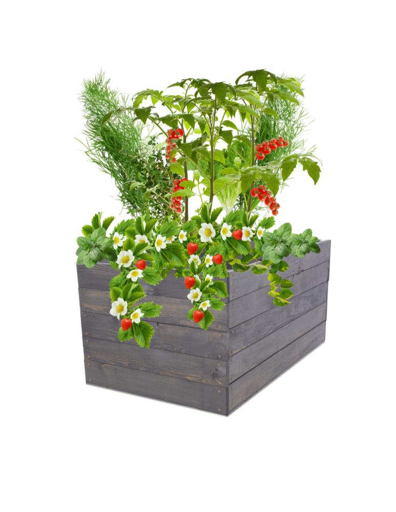 Uprawowe skrzynie ogrodowe- Warzywniaki- skrzynia do uprawy - Skrzynia na warzywa skrzynie na warzywnik inspekt donica grządka 45x83x80 - produkt b2b.wamar.biz 2