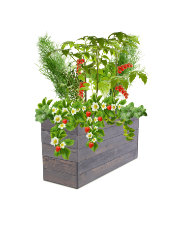 Skrzynia na warzywa skrzynie na warzywnik inspekt donica grządka 45x103x30 - product 2