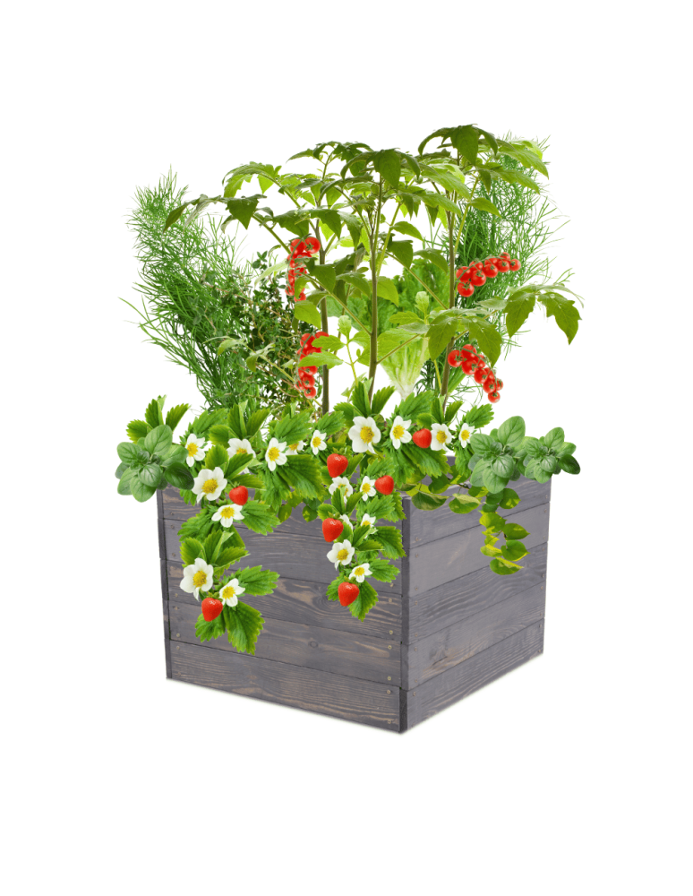 Uprawowe skrzynie ogrodowe- Warzywniaki- skrzynia do uprawy - Skrzynia na warzywa skrzynie na warzywnik inspekt donica grządka 45x103x80 - product b2b.wamar.biz 2