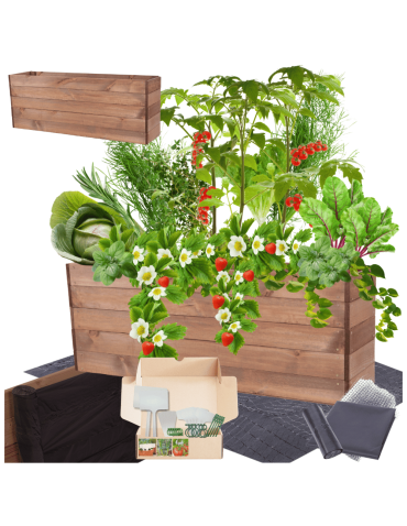 Skrzynia na warzywa skrzynie na warzywnik inspekt donica grządka 45x120x30