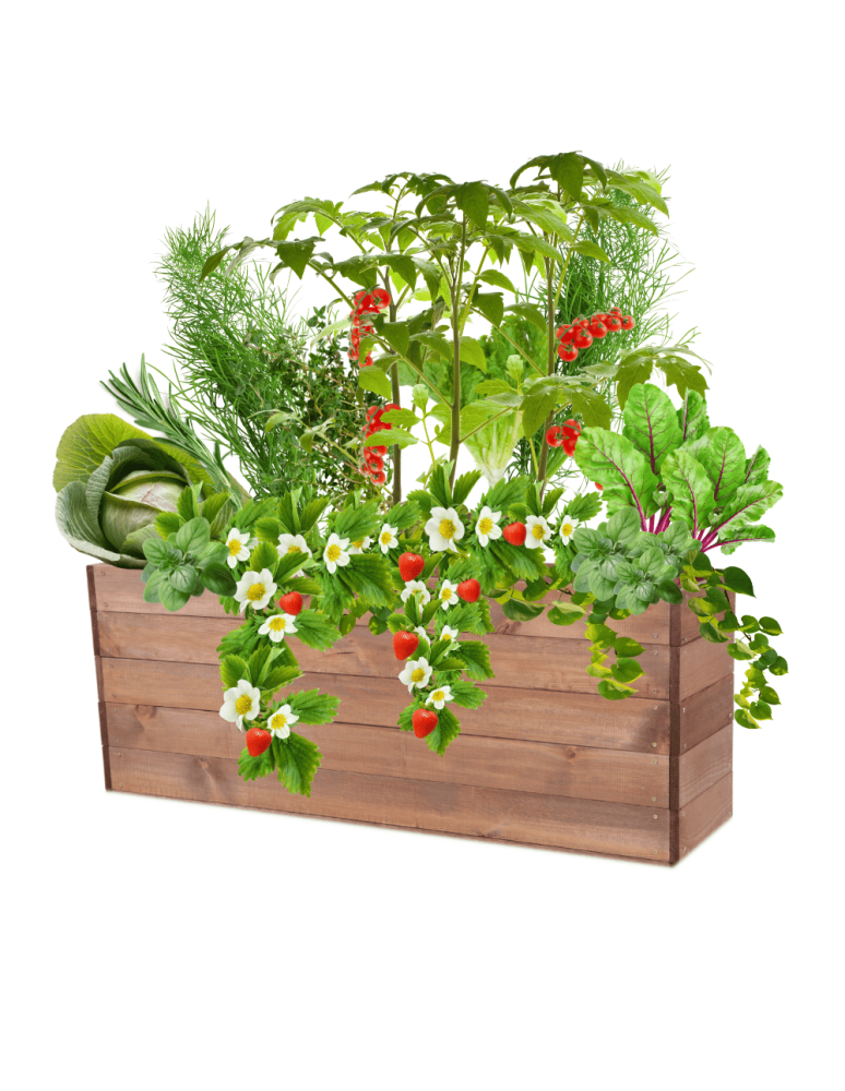 Uprawowe skrzynie ogrodowe- Warzywniaki- skrzynia do uprawy - Skrzynia na warzywa skrzynie na warzywnik inspekt donica grządka 45x120x30 - product b2b.wamar.biz 2