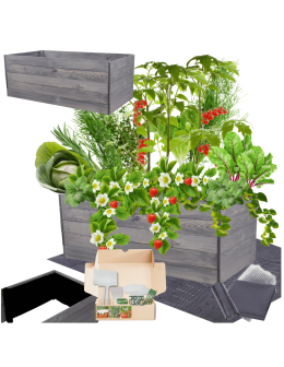 Skrzynia na warzywa skrzynie na warzywnik inspekt donica grządka 45x120x60