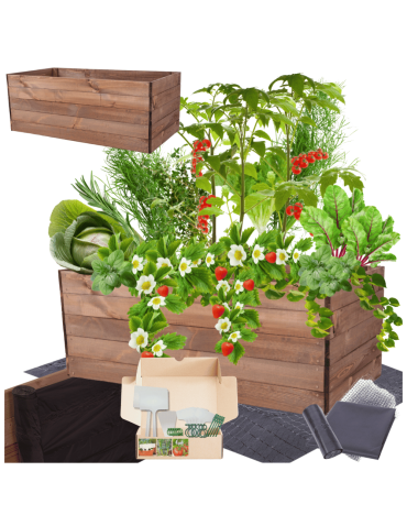 Skrzynia na warzywa skrzynie na warzywnik inspekt donica grządka 45x120x80