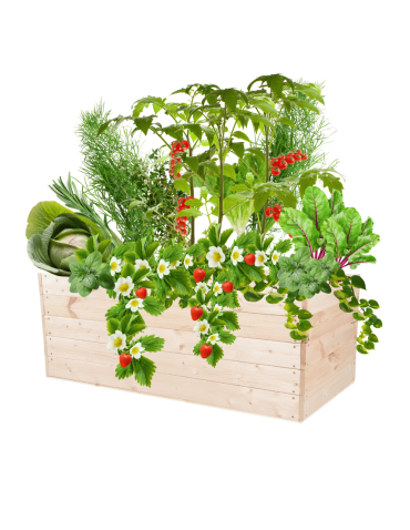 Skrzynia na warzywa skrzynie na warzywnik inspekt donica grządka 45x120x80 - product 2