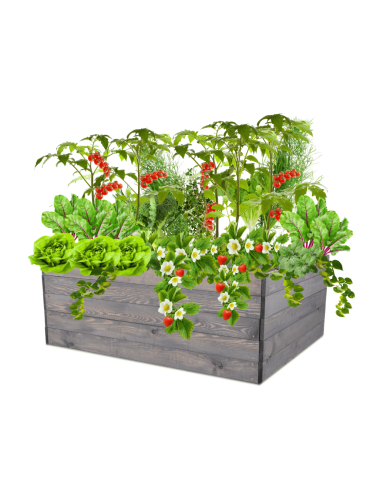 Skrzynia na warzywa skrzynie na warzywnik inspekt donica grządka 45x120x90 - produkt 2