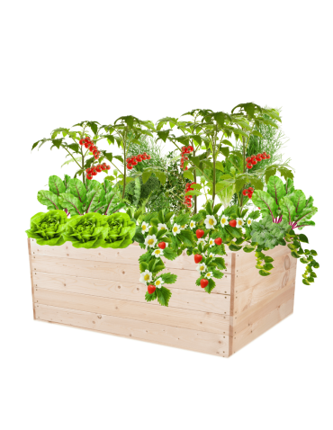 Skrzynia na warzywa skrzynie na warzywnik inspekt donica grządka 45x120x100 - product 2