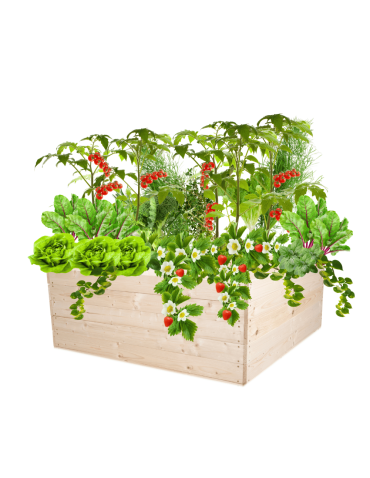 Skrzynia na warzywa skrzynie na warzywnik inspekt donica grządka 45x120x117 - produkt 2