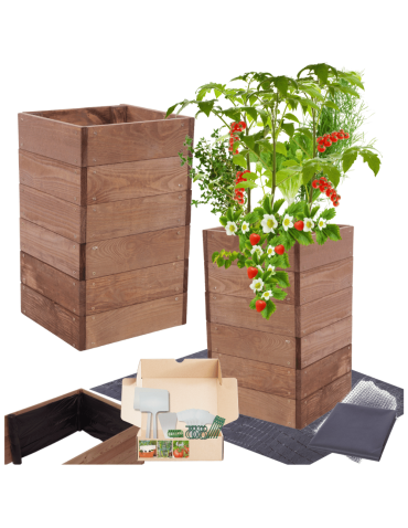 Skrzynia na warzywa skrzynie na warzywniak inspekt donica grządka 54x33x30